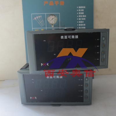 NHR-1340傻瓜式60段PID程序温控器 福建虹润